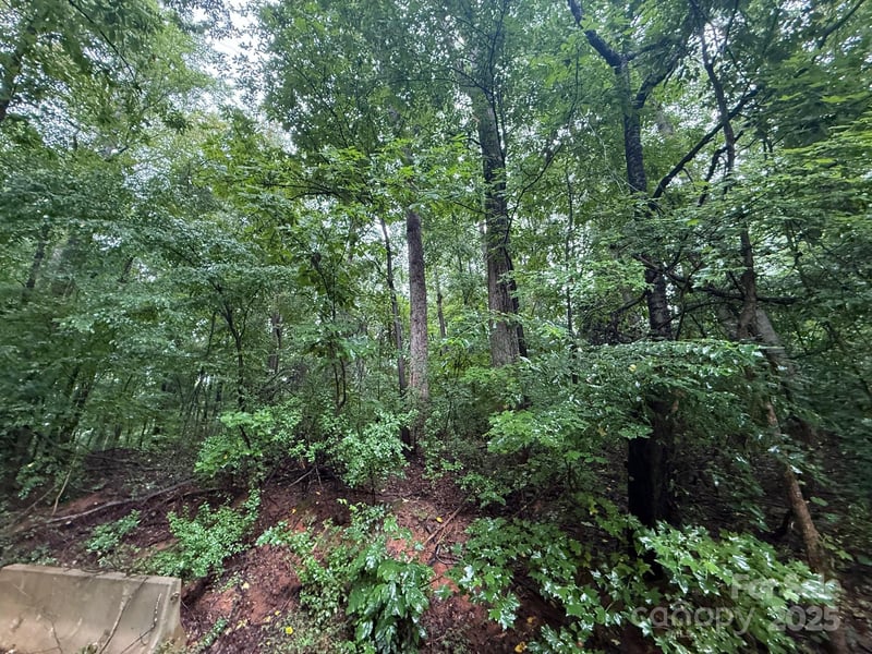 3117 Shirley Dr, Charlotte, NC 28214