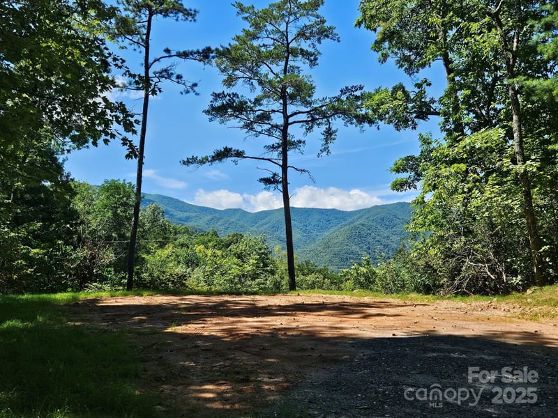 Blue Vista Rd #1, Canton, NC 28716