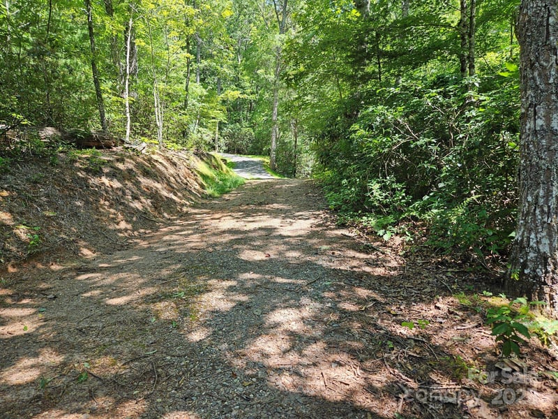 Blue Vista Rd #1, Canton, NC 28716