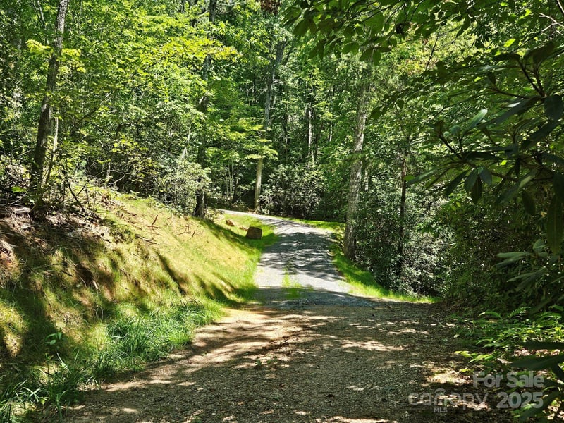 Blue Vista Rd #1, Canton, NC 28716