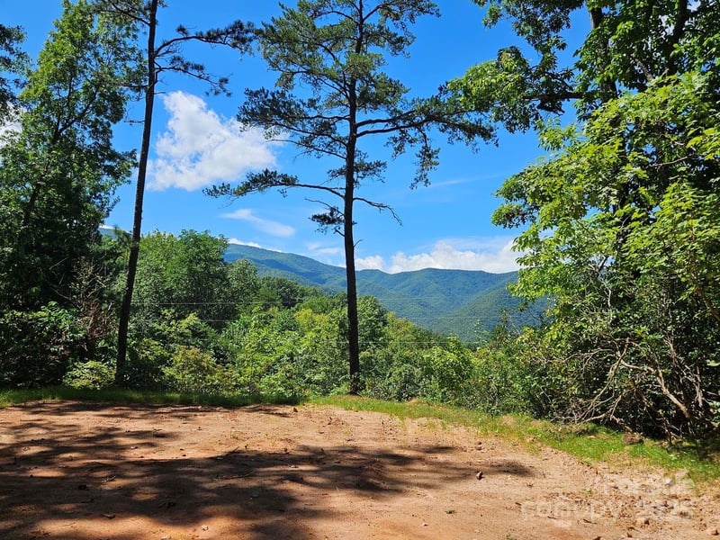 Blue Vista Rd #1, Canton, NC 28716