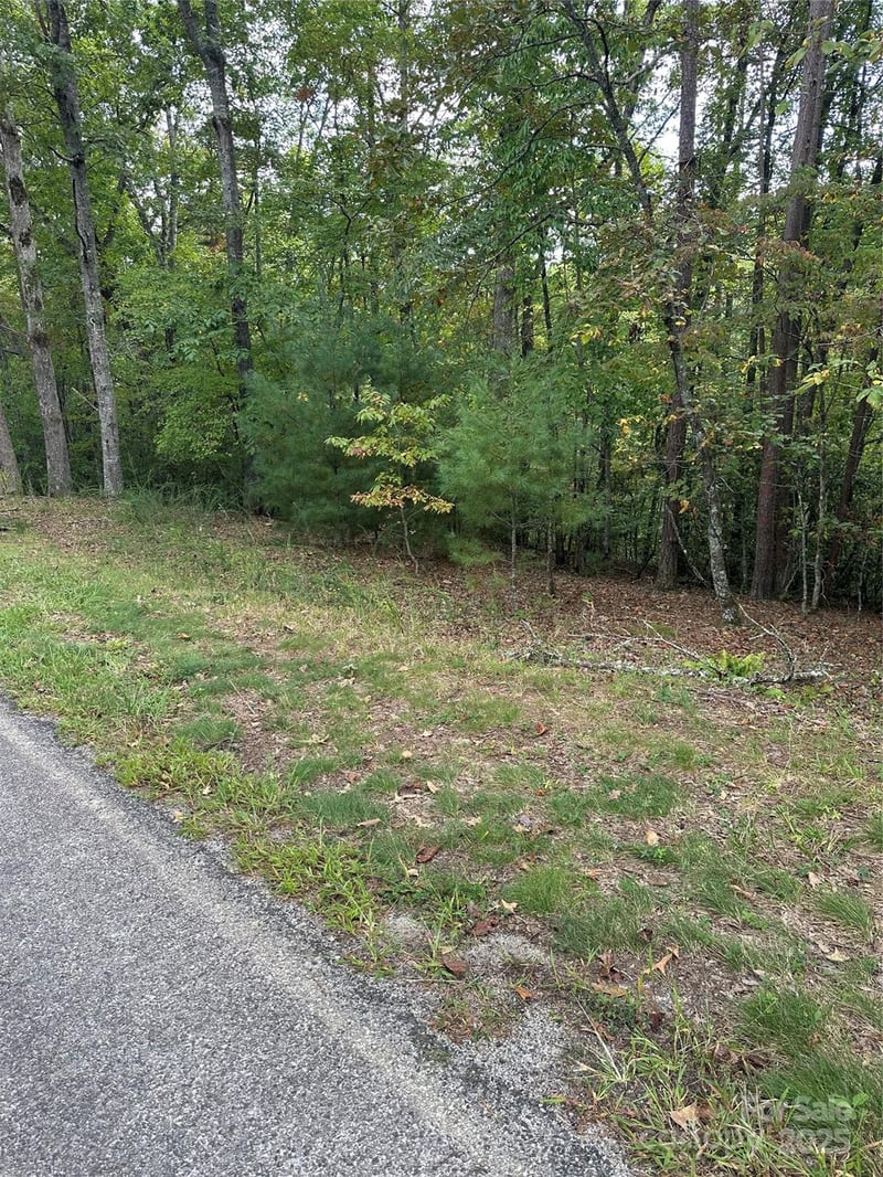 00 Pleasant Hill Rd, Franklin, NC 28734