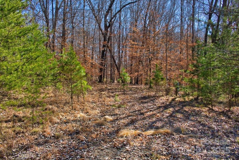 Cinnamon Rg #404, Rutherfordton, NC 28139