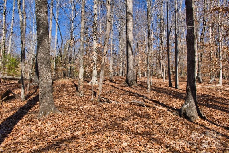 Cinnamon Rg #404, Rutherfordton, NC 28139
