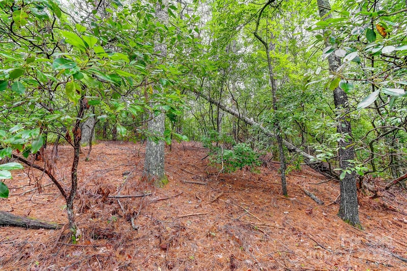 99999 Thunder Rd, Brevard, NC 28712