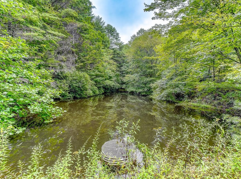 99999 Thunder Rd, Brevard, NC 28712