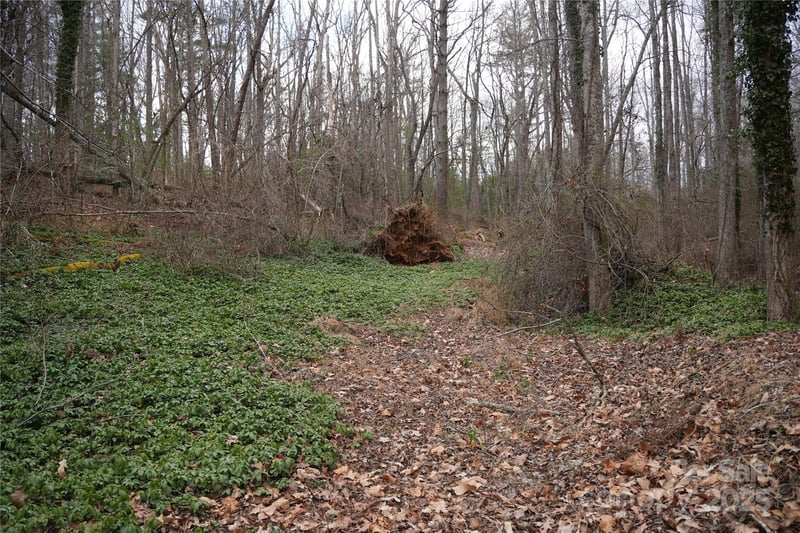 741 Glenn Bridge Rd, Arden, NC 28704