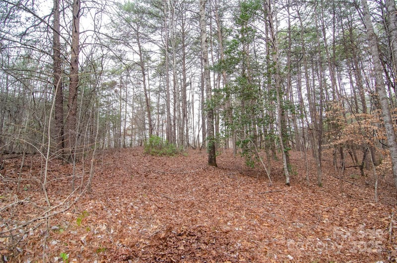 Rainbow Rapids Rd, Rutherfordton, NC 28139