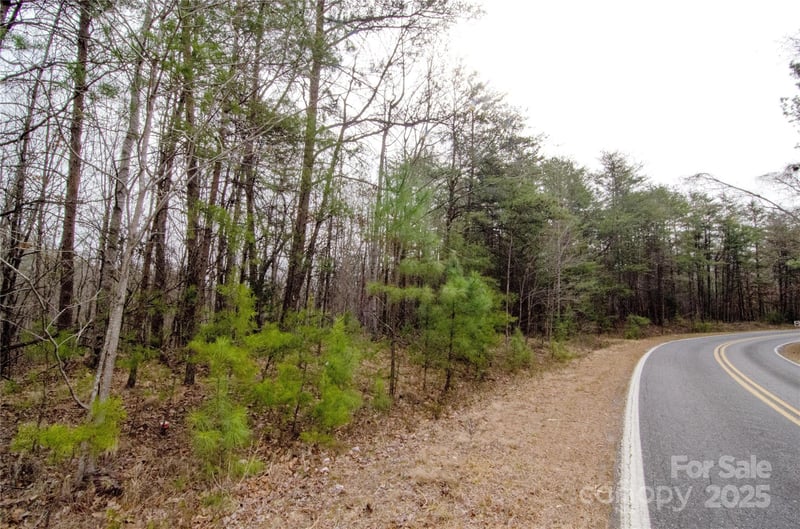 Rainbow Rapids Rd, Rutherfordton, NC 28139
