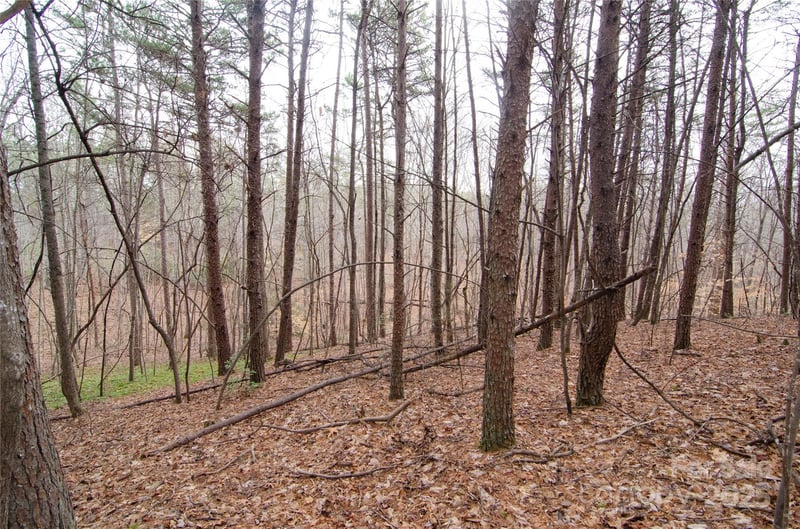 Rainbow Rapids Rd, Rutherfordton, NC 28139