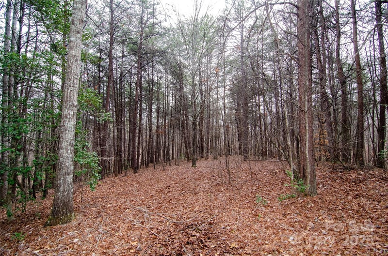 Rainbow Rapids Rd, Rutherfordton, NC 28139
