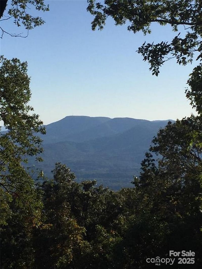00 Morning Ride Dr #38, Columbus, NC 28722