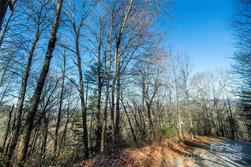 TBD Three Mile Knob Rd #L2, Pisgah Forest, NC 28768