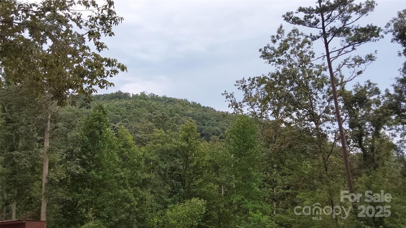 Brighton Dr, Bostic, NC 28018