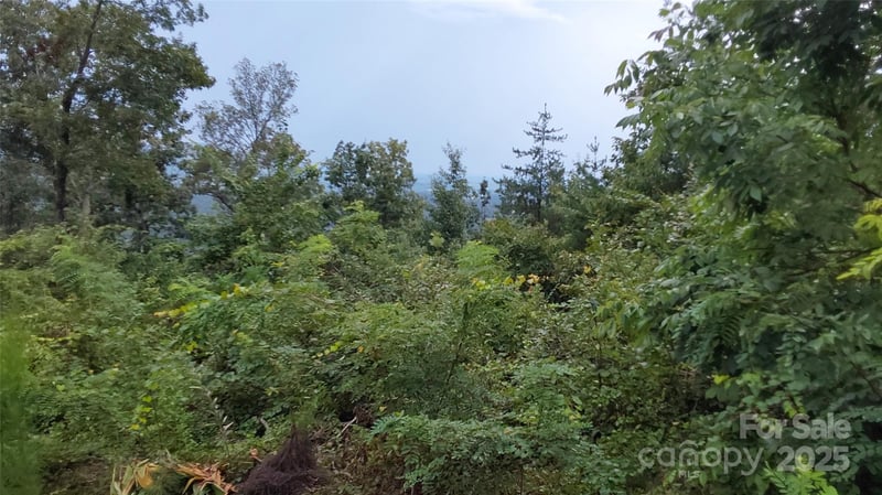 Brighton Dr, Bostic, NC 28018