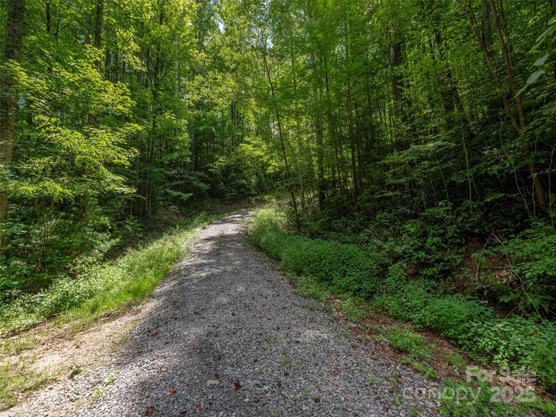 000 Flowing Brook Ln #3, Waynesville, NC 28786