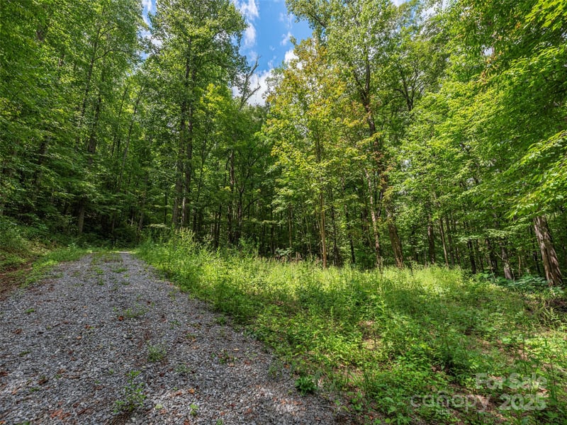 000 Flowing Brook Ln #3, Waynesville, NC 28786