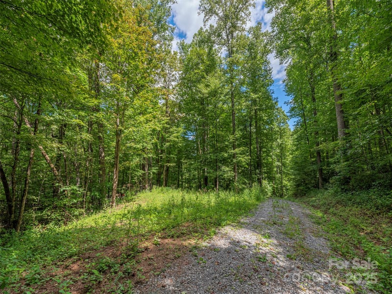 000 Flowing Brook Ln #3, Waynesville, NC 28786