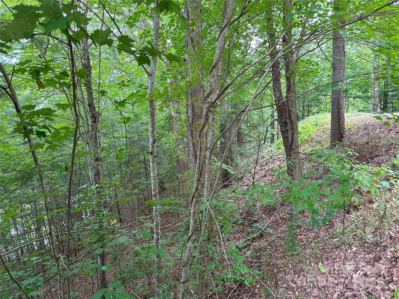 000 Ruffed Grouse Ln, Waynesville, NC 28786