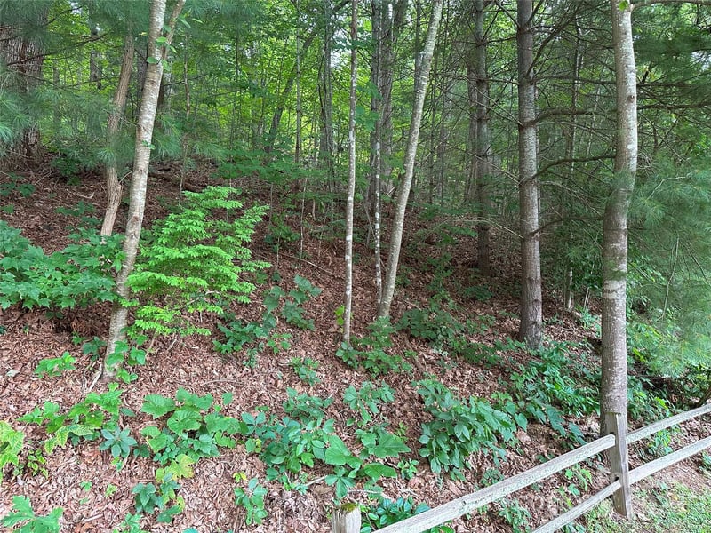 000 Ruffed Grouse Ln, Waynesville, NC 28786