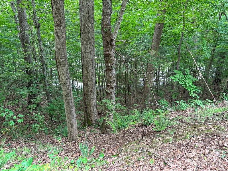 000 Ruffed Grouse Ln, Waynesville, NC 28786