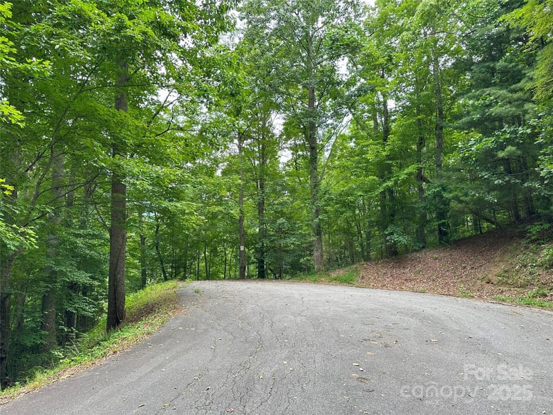 000 Ruffed Grouse Ln, Waynesville, NC 28786