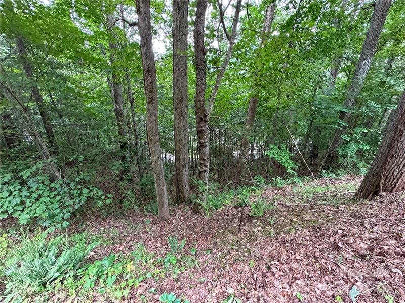 000 Ruffed Grouse Ln, Waynesville, NC 28786