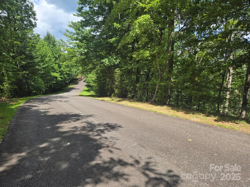 Lot 34 Hawks Nest Trl, Lake Lure, NC 28746