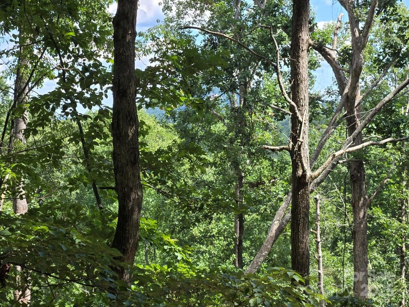 Lot 34 Hawks Nest Trl, Lake Lure, NC 28746