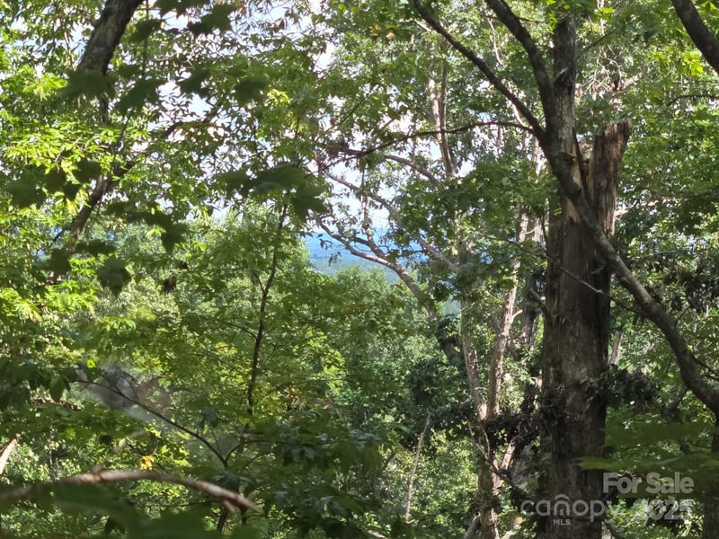 Lot 34 Hawks Nest Trl, Lake Lure, NC 28746