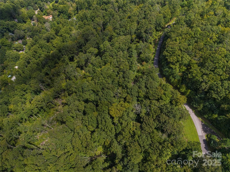 52 Castanea Mountain Dr, Asheville, NC 28803