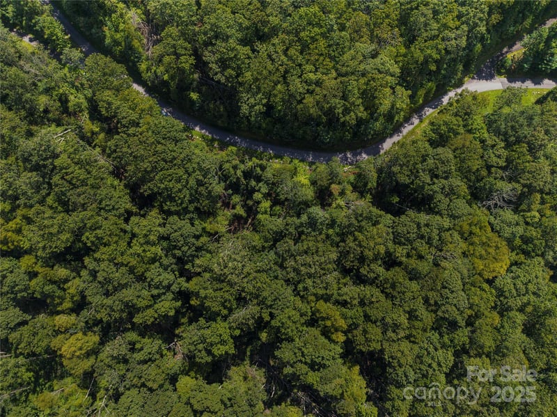 52 Castanea Mountain Dr, Asheville, NC 28803