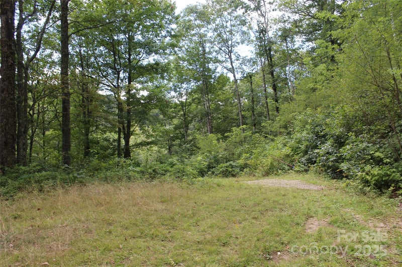 920 Autumn Dr, Maggie Valley, NC 28751