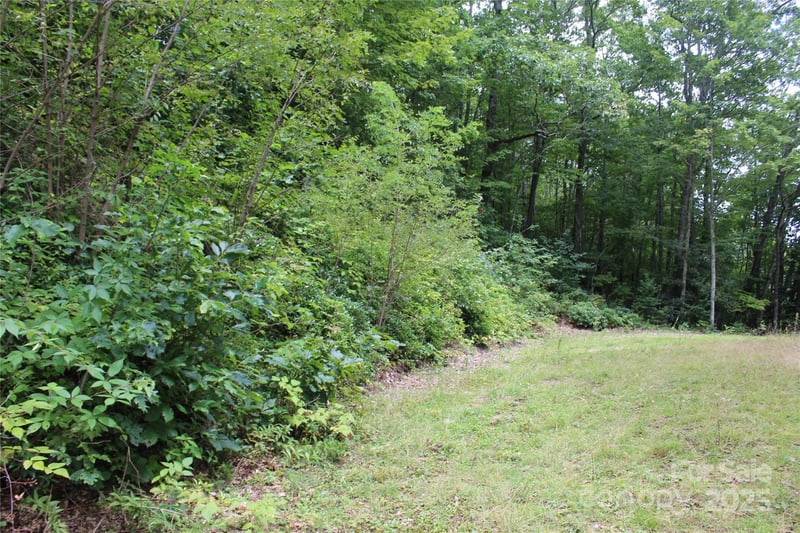 920 Autumn Dr, Maggie Valley, NC 28751