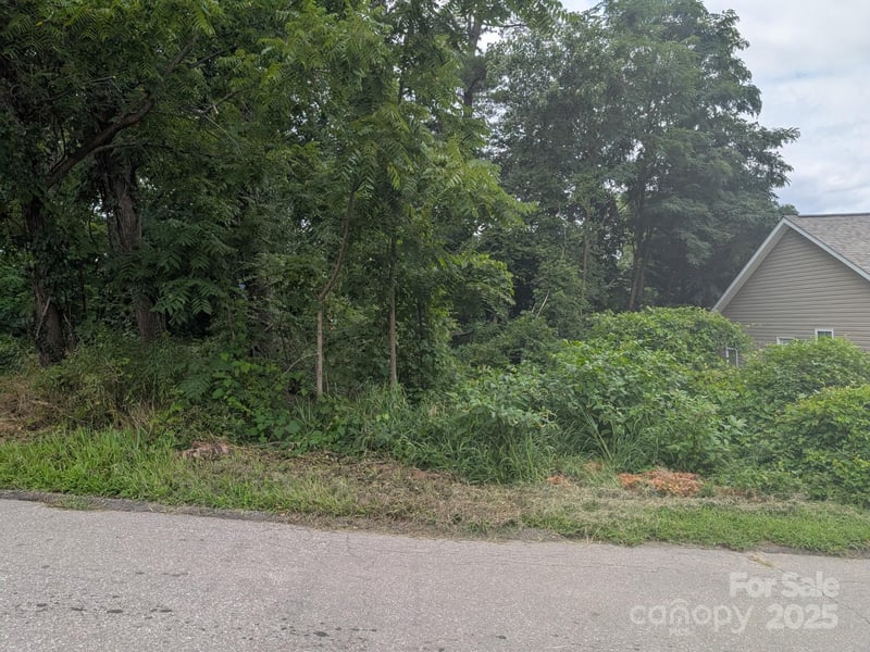 0000 Booker St, Asheville, NC 28803