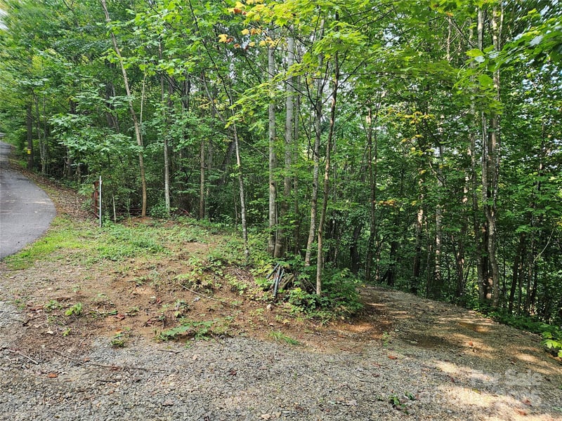 112 Steinwald Trl, Waynesville, NC 28786