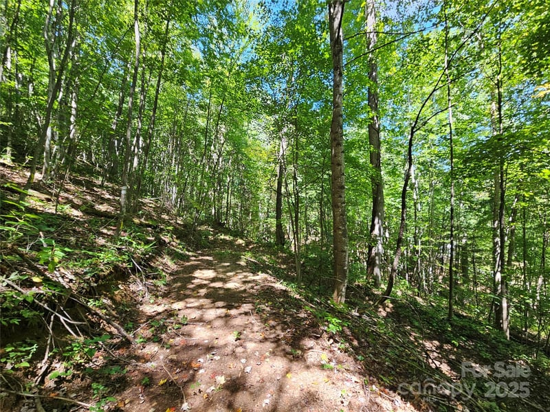 112 Steinwald Trl, Waynesville, NC 28786