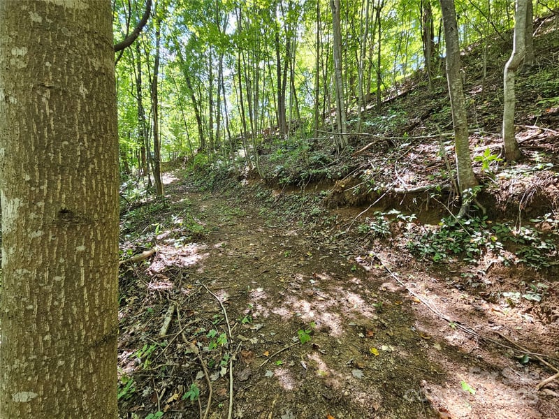 112 Steinwald Trl, Waynesville, NC 28786