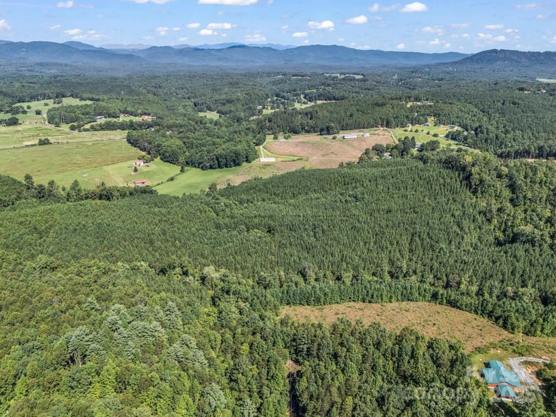 83.67 Acres Pleasant Grove Rd, Rutherfordton, NC 28139