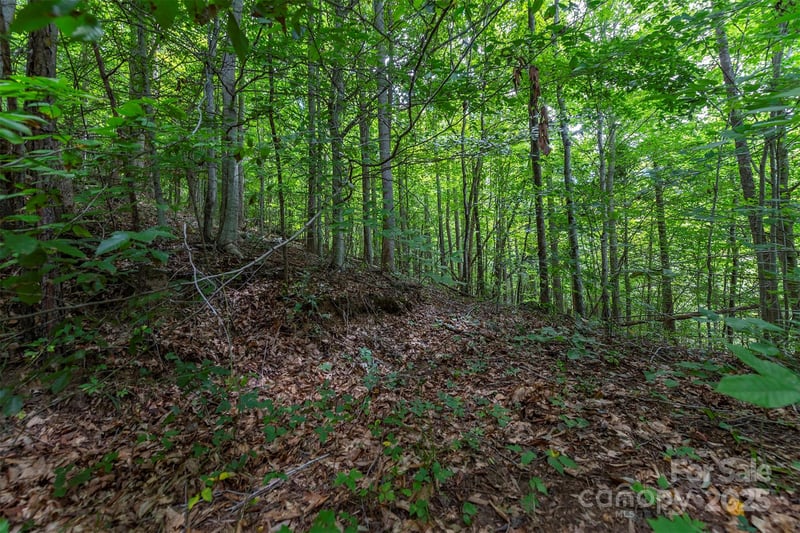 72 Applewood Ln #93, Weaverville, NC 28787