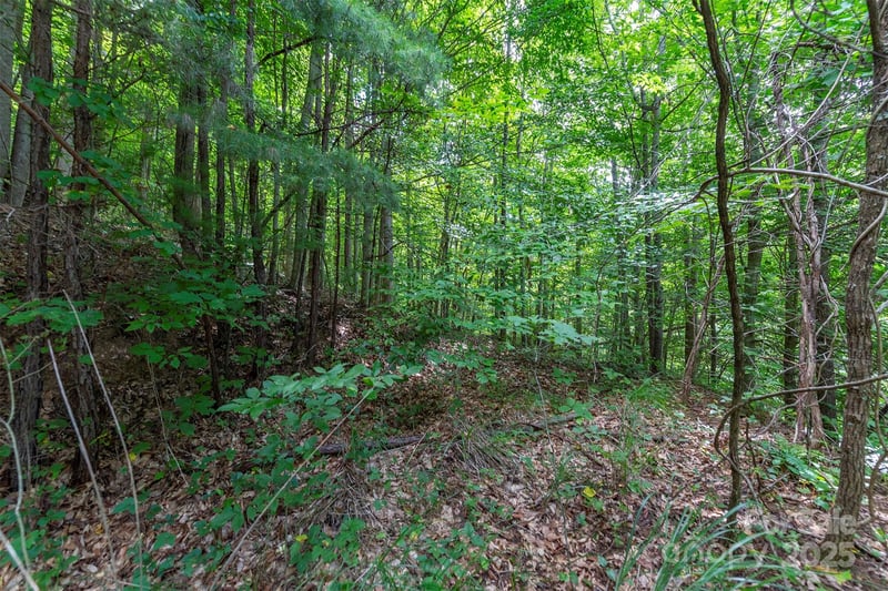 72 Applewood Ln #93, Weaverville, NC 28787