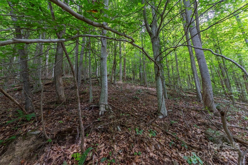 72 Applewood Ln #93, Weaverville, NC 28787