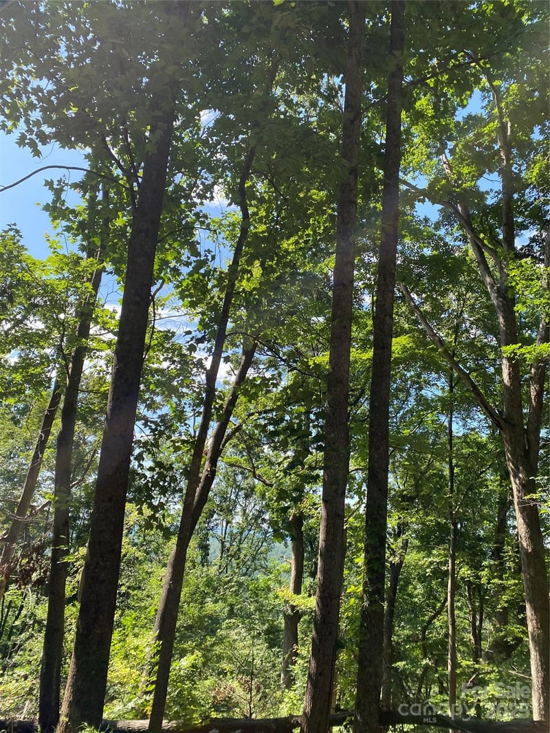 Winesap Blvd #81, Lake Lure, NC 28746