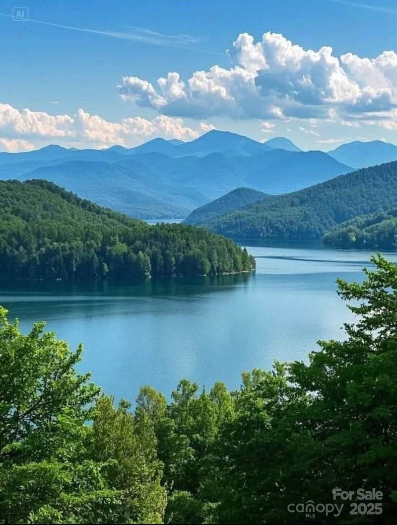 Winesap Blvd #81, Lake Lure, NC 28746