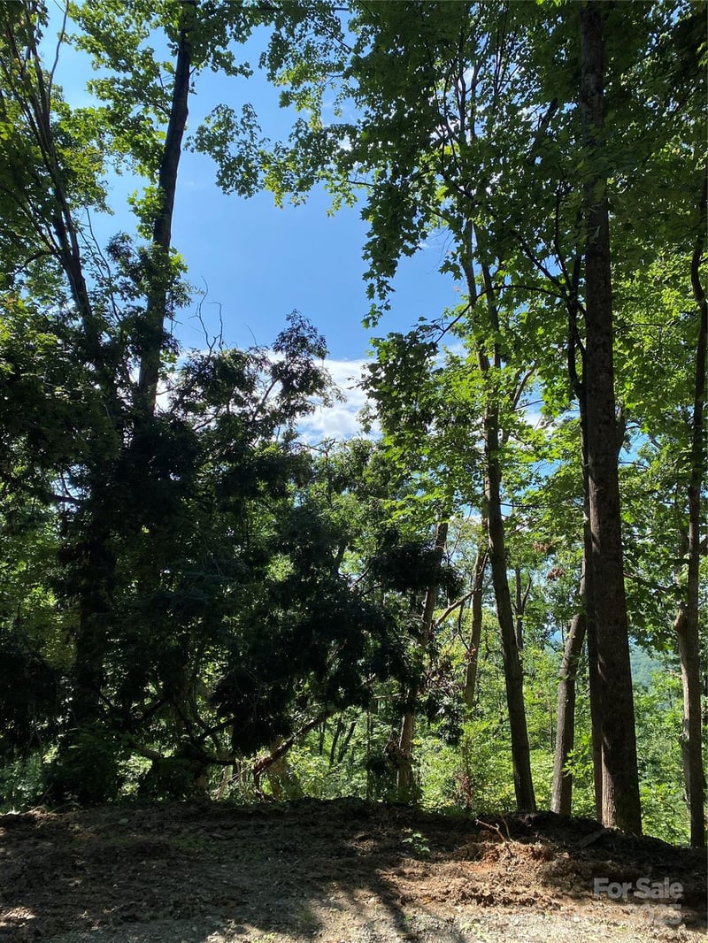 Winesap Blvd #81, Lake Lure, NC 28746