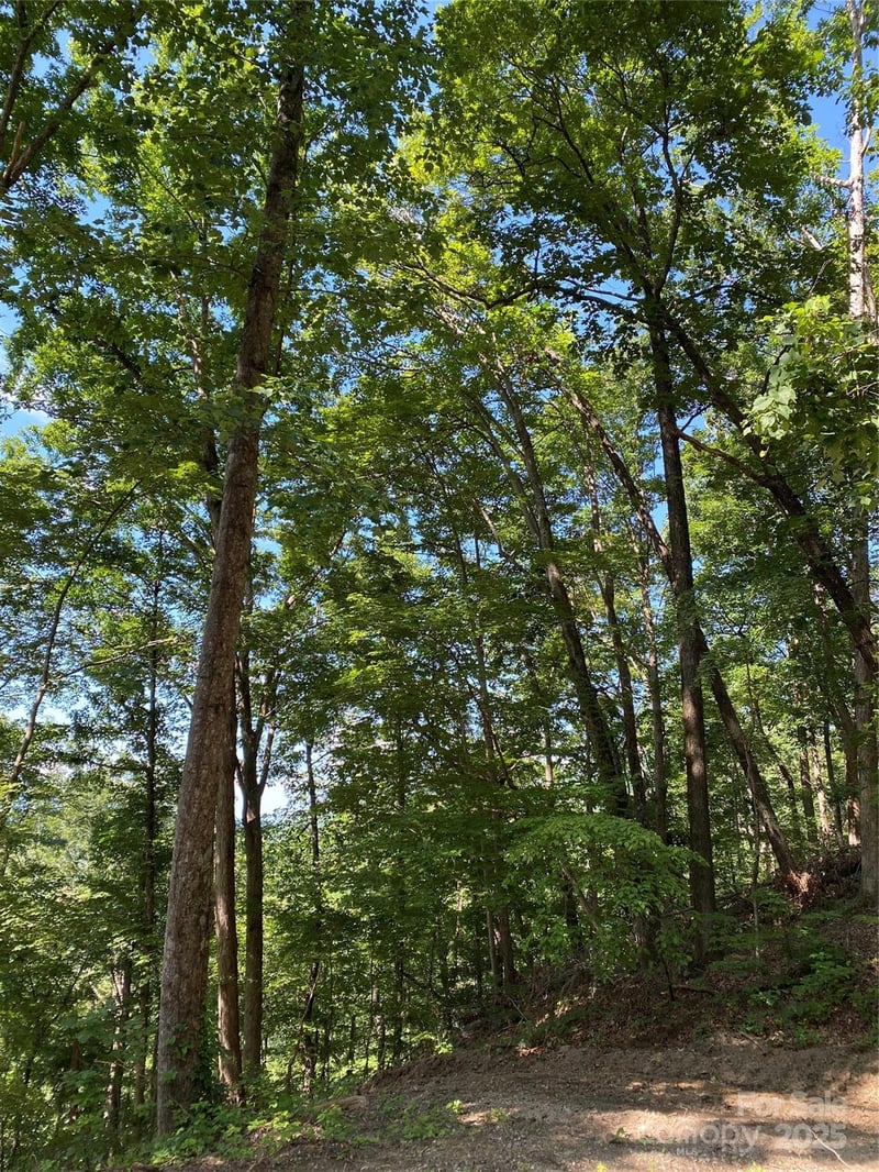Winesap Blvd #81, Lake Lure, NC 28746