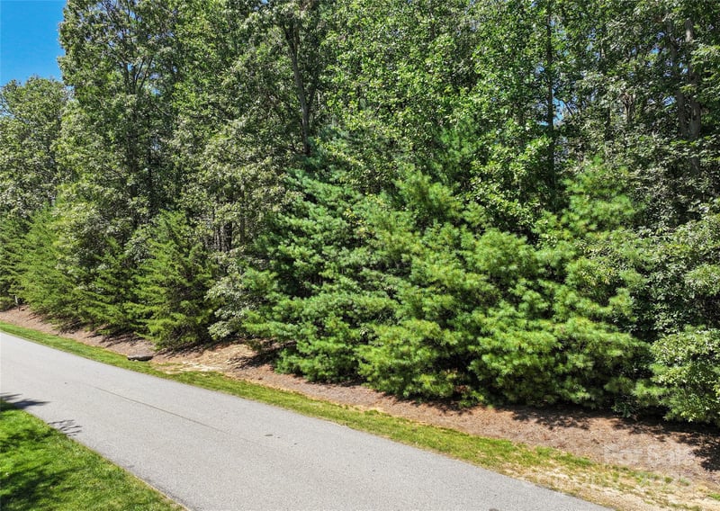 15 Mirehouse Rn, Asheville, NC 28803