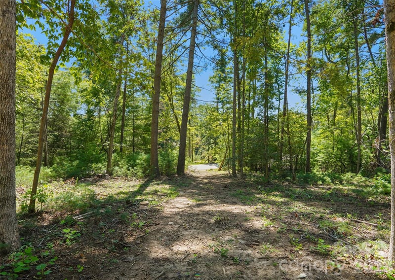 15 Mirehouse Rn, Asheville, NC 28803