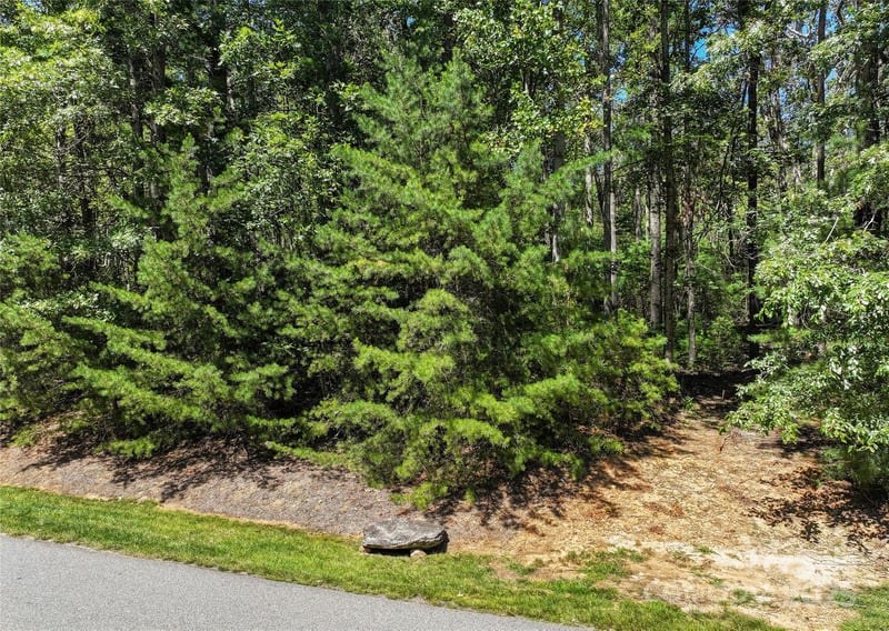 15 Mirehouse Rn, Asheville, NC 28803