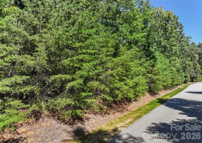 15 Mirehouse Rn, Asheville, NC 28803